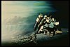 Gundam the 08th MS Team 33